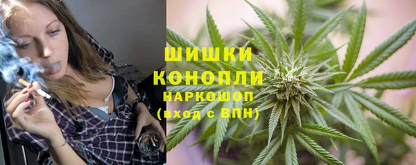 дживик Киренск