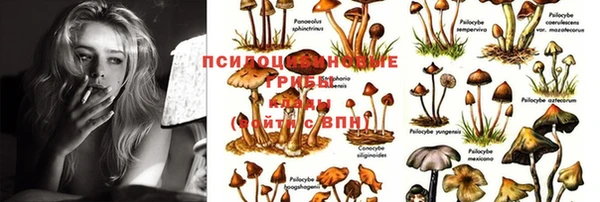 синтетический гашиш Кинешма