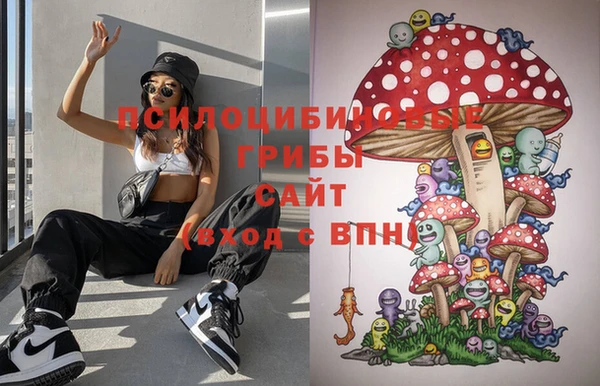 дживик Киренск