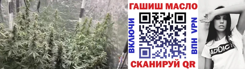 Купить  Североморск  ТГК жижа 
