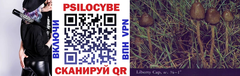 Псилоцибиновые грибы MAGIC MUSHROOMS  Купить  Североморск 